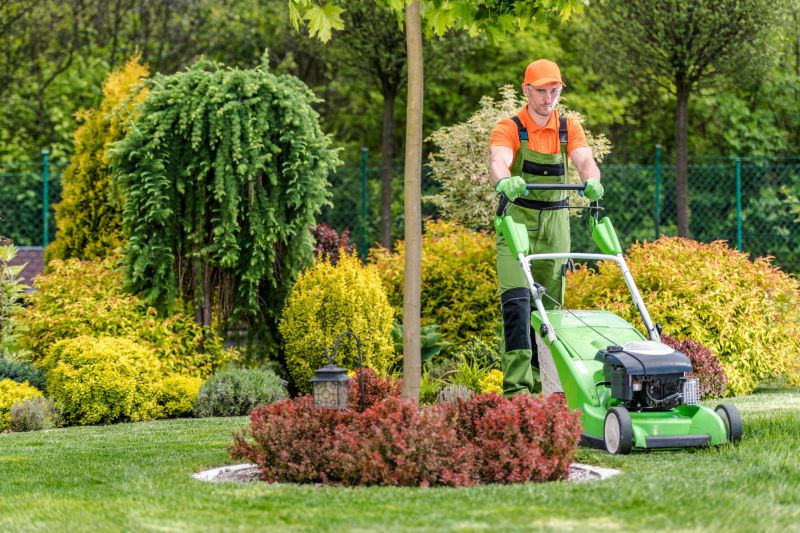 Residential Yard Mowing