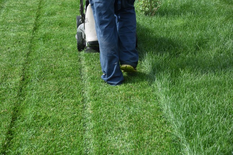 Residential Yard Mowing