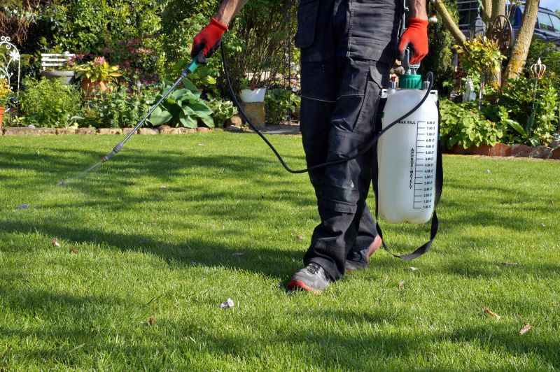 Lawn Weed Spraying in Ventura County, CA