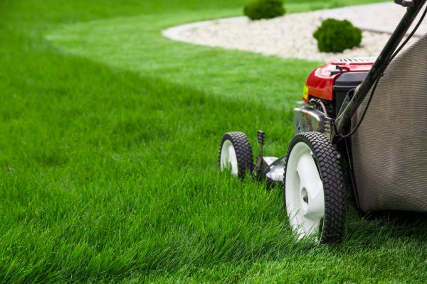 Residential Yard Mowing - Residential Yard Mowing Bountiful, Utah