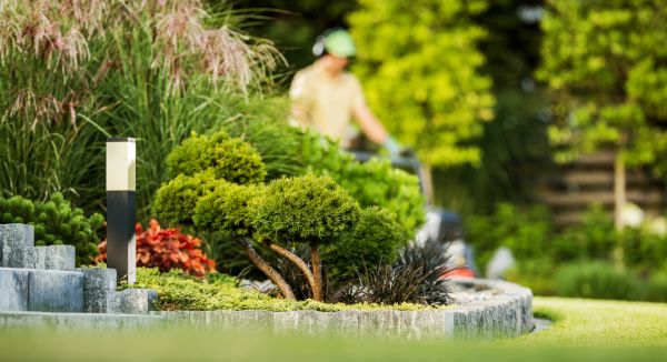 Residential Yard Maintenance - Residential Yard Maintenance Bountiful, Utah